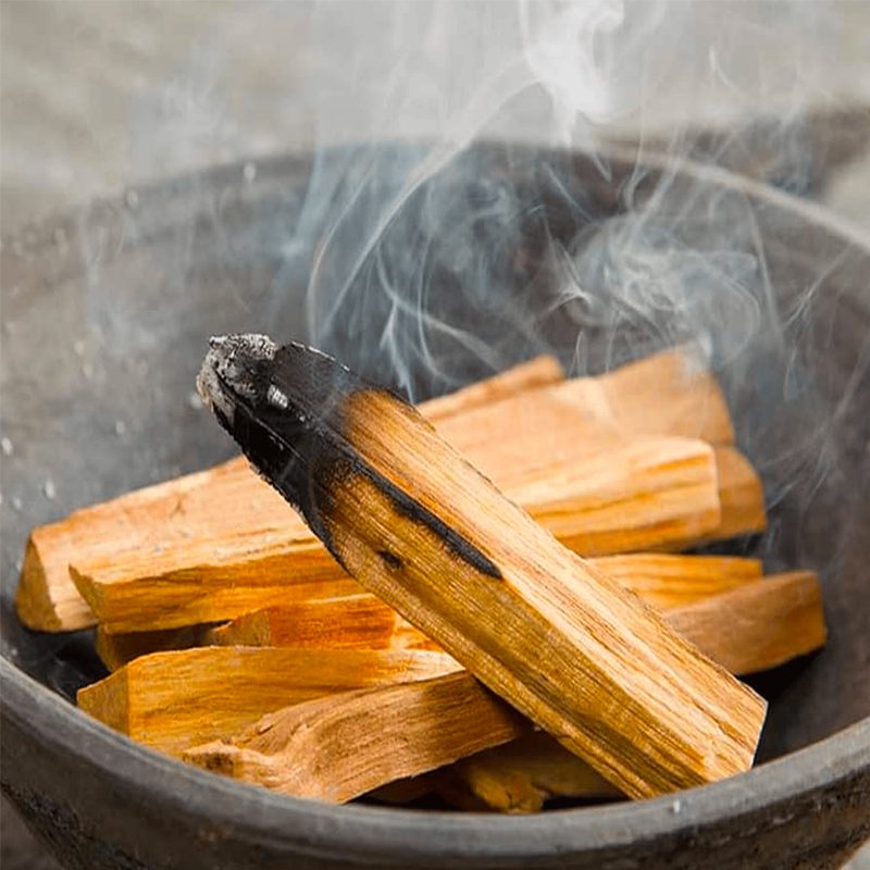 ¿Qué es el Palo Santo y para qué sirve?